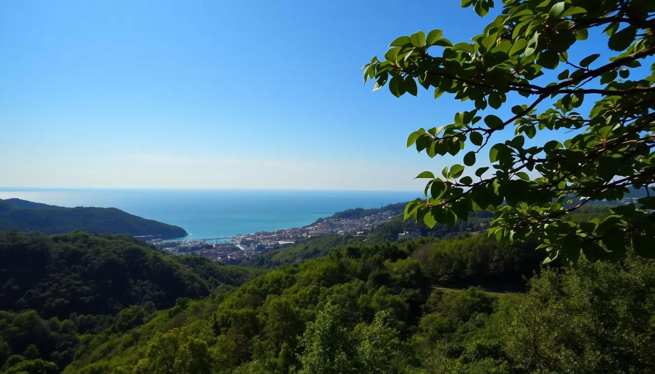 Ōita Prefecture, Japan: Best Months for a Weather-Savvy Trip