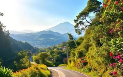 Ruta de las Flores, El Salvador: Best Things to Do – Top Picks