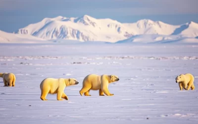 Wapusk National Park, Manitoba: Best Things to Do – Top Picks