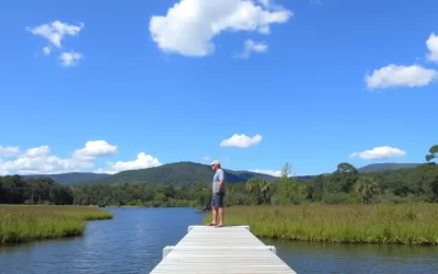 South Carolina, United States: Best Months for a Weather-Savvy Trip