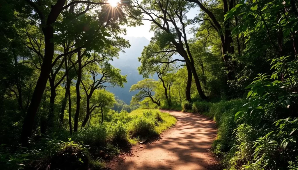 A serene hiking trail winding through the lush, verdant foliage of the Udzungwa Mountains. Sunlight filters through the canopy, casting a warm, natural glow on the dirt path, which is flanked by towering trees and vibrant undergrowth. In the distance, glimpses of the majestic mountain peaks can be seen, their rugged silhouettes creating a stunning backdrop. The atmosphere is one of tranquility and adventure, inviting the viewer to embark on an exploration of this captivating natural wonder. Capture this scene with a wide-angle lens, showcasing the depth and grandeur of the landscape, while maintaining a sense of intimacy and connection with the hiking trail.