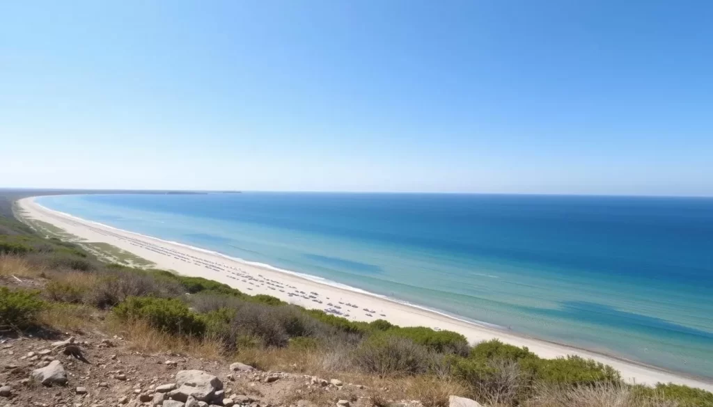 An image of Petoskey State Park Beach with a vast shoreline and clear waters.