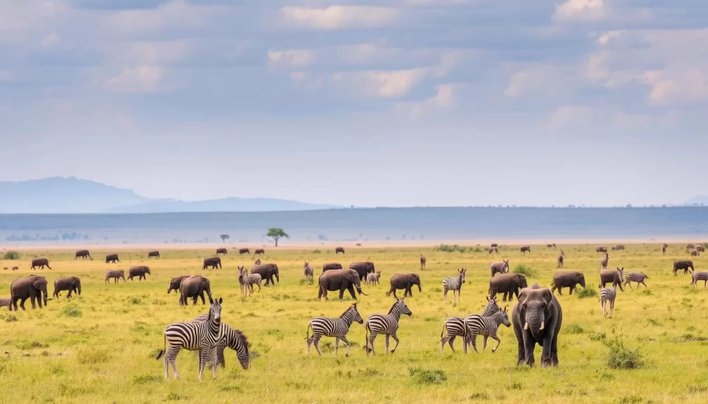 Explore Serengeti's Wildlife