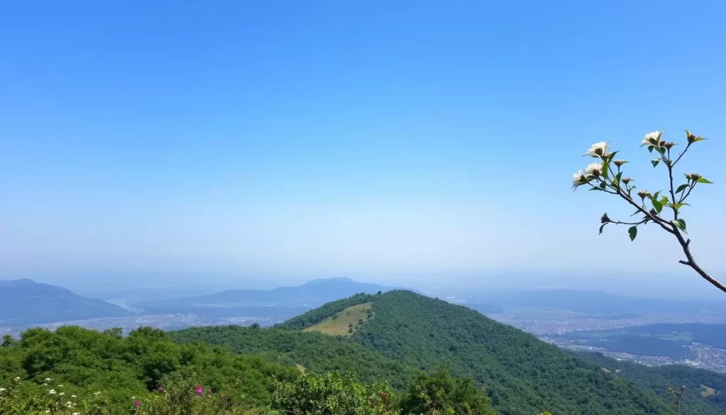 Image of Boztepe Hill in Ordu
