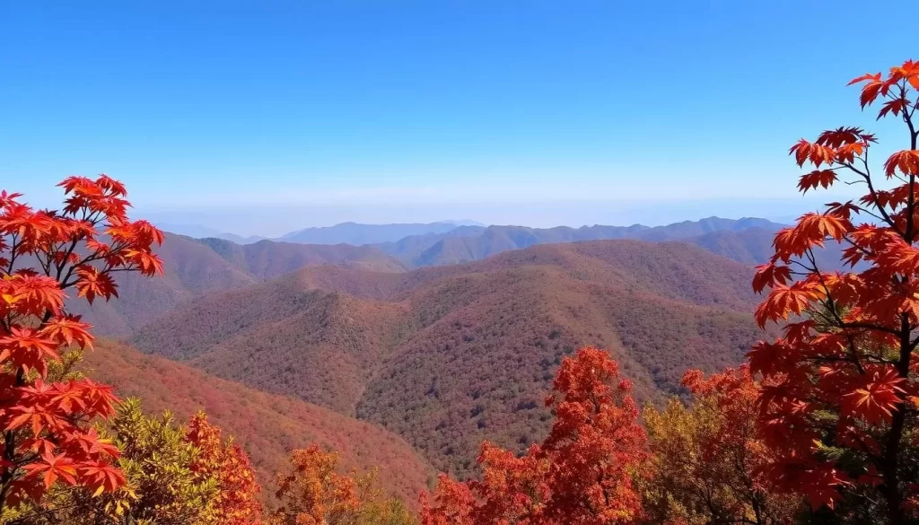 Image of Chopta during autumn