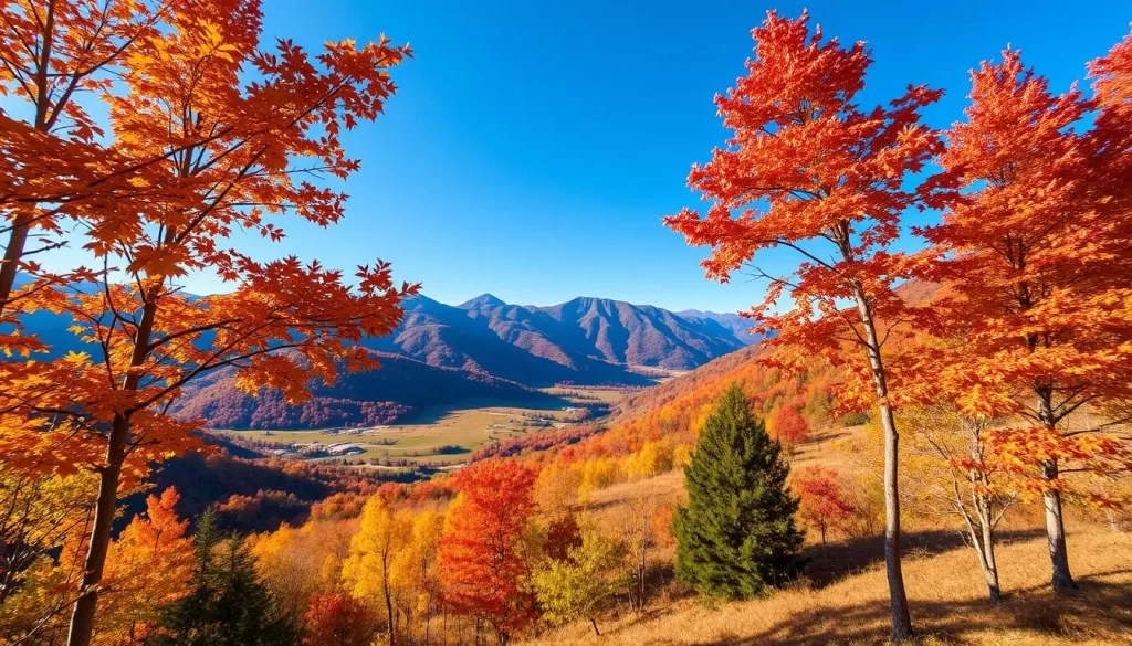 Image of Emli Valley during autumn with colorful foliage
