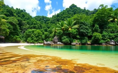 Tiga Island National Park, Malaysia: Best Things to Do – Top Picks