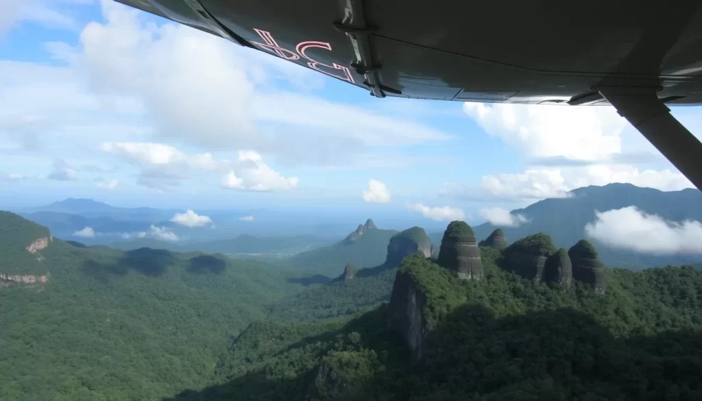 Image of a plane flying over the Mulu National Park landscape