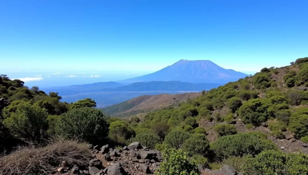 Image of the Marangu Route on Kilimanjaro