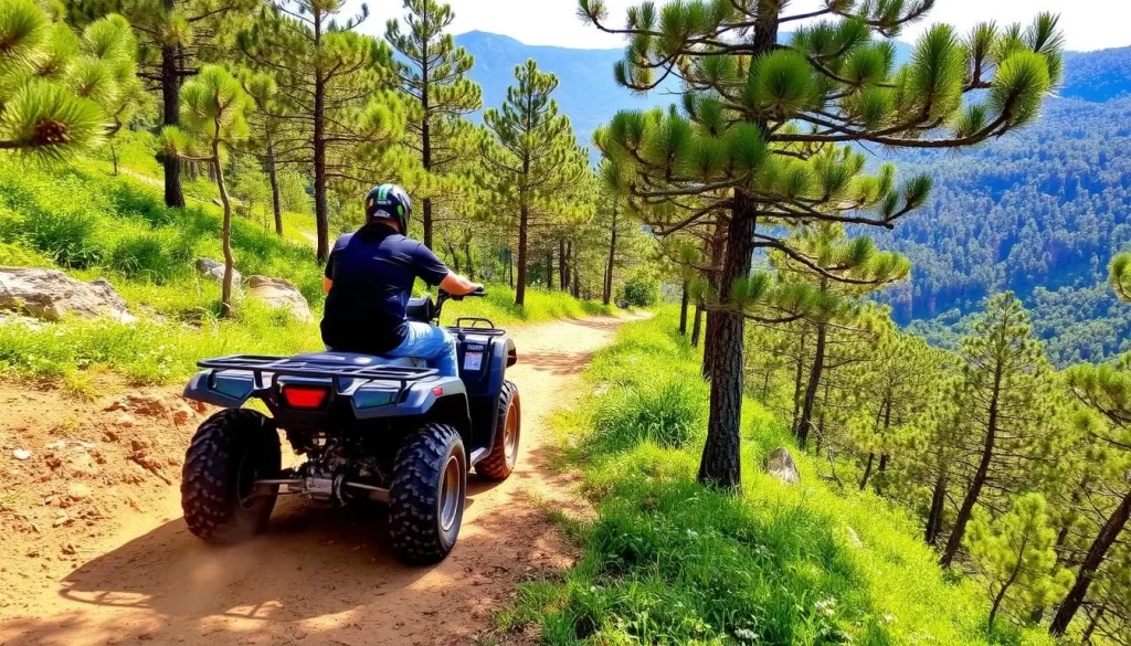 Imagine yourself driving an ATV through the rugged trails of Marmaris Milli Parkı, surrounded by dense pine forests and scenic views.