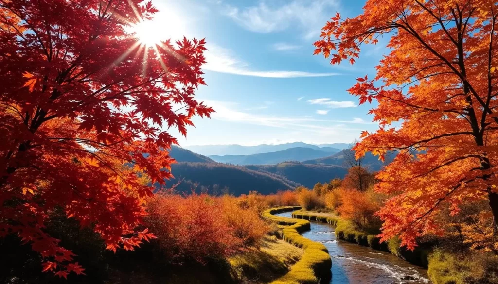 Lush, vibrant autumn foliage in Hsinchu County, Taiwan. Sunlight filters through the canopy of red, orange, and gold maple leaves, casting a warm glow on the rolling hills in the distance. A tranquil stream winds through the foreground, its surface reflecting the vibrant hues. Wispy clouds drift across a clear, azure sky. A serene, peaceful atmosphere pervades the scene, inviting the viewer to immerse themselves in the beauty of the changing seasons. Capture this quintessential autumn landscape with a wide-angle lens to showcase the depth and grandeur of the setting.