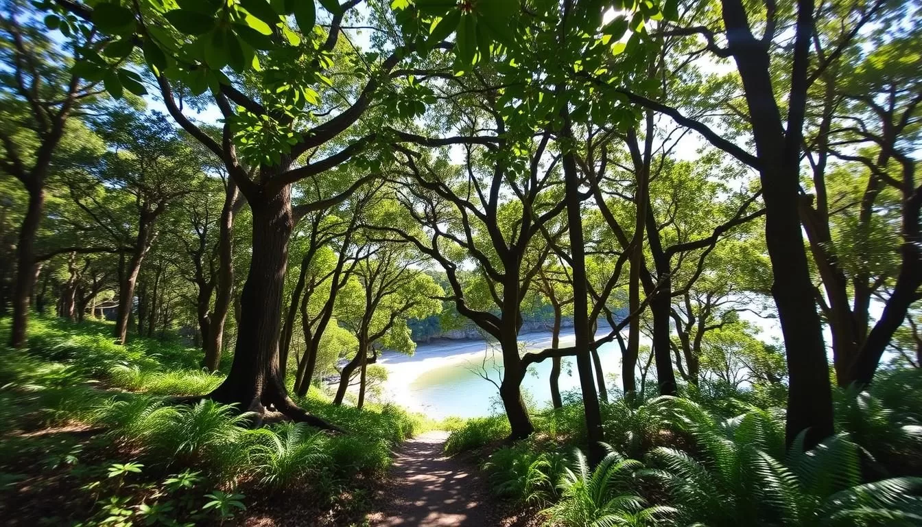 Moonee Beach Nature Reserve, New South Wales: Best Things to Do - Top Picks