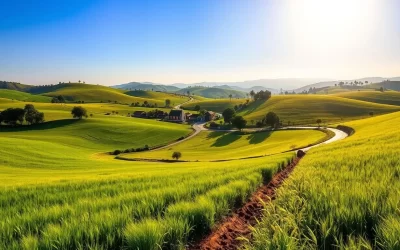 Punjab, India: Best Months for a Weather-Savvy Trip