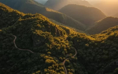 Udzungwa Mountains National Park, Tanzania: Best Things to Do – Top Picks