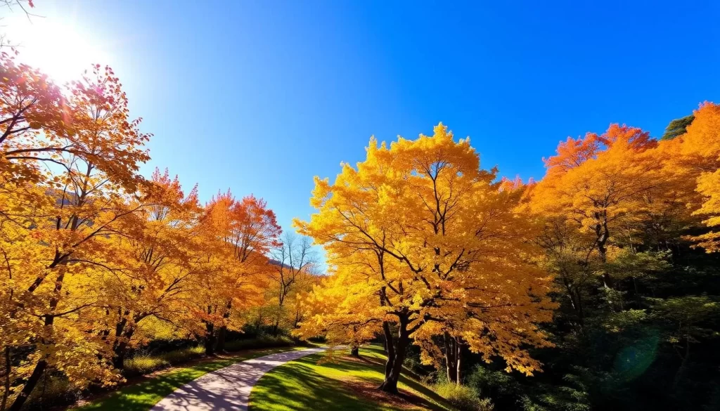 Vibrant autumn foliage in the scenic landscapes of South Jeolla Province, South Korea. Capture the golden hues of maple and ginkgo trees against a clear blue sky. Depict a sunlit forest path winding through a lush canopy, casting dappled shadows on the ground below. Include a serene pond or stream reflecting the vibrant fall colors. Showcase the serene and picturesque character of this beautiful region during the peak of the autumn season.