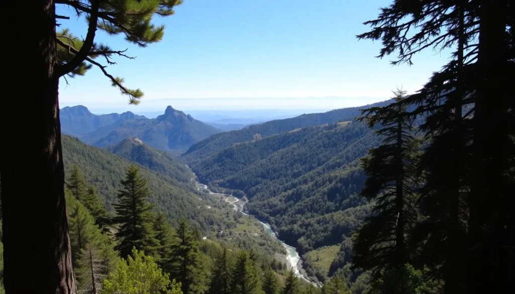 A breathtaking vista of the California Coast Ranges unfolds before you. Rugged, undulating hills clad in lush, verdant foliage stretch out as far as the eye can see, their peaks bathed in warm, golden sunlight. In the foreground, a meandering stream cuts through the landscape, its crystal-clear waters glimmering in the gentle breeze. Towering coastal redwoods dot the scene, their towering trunks and intricate canopies providing a natural framing for the panoramic view. In the distance, the hazy silhouettes of distant mountain ranges rise up against a clear, azure sky, creating a sense of depth and scale. The overall atmosphere is one of serene tranquility, inviting the viewer to immerse themselves in the natural beauty of this remarkable region.