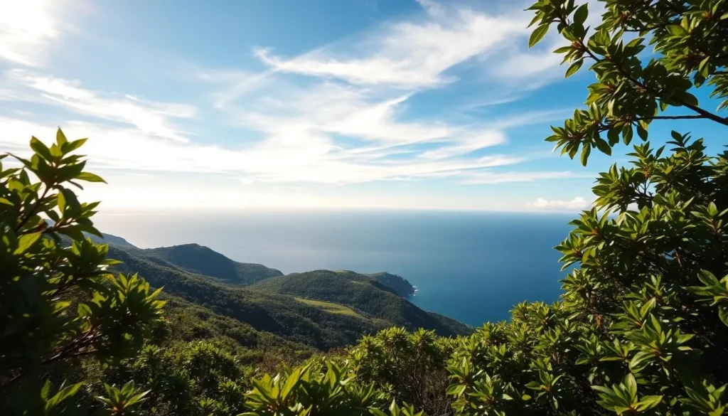 A serene, sun-dappled scene on the lush, verdant slopes of Pitcairn Island, with wispy, ethereal clouds drifting lazily across the azure sky. Vibrant green foliage frames the tranquil ocean vistas, while a warm, golden light bathes the landscape. The image captures the picturesque and weather-blessed nature of this remote Pacific island, conveying a sense of tranquility and natural beauty. Crisp, high-resolution photography with a wide-angle lens to showcase the expansive scenery.