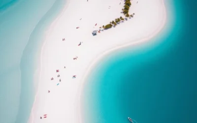 Sarasota, Florida: Best Things to Do – Top Picks