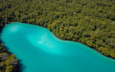 Wakulla County, Florida: Best Things to Do – Top Picks