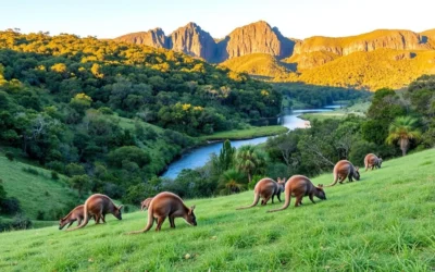 Cape Hillsborough National Park, Queensland: Best Things to Do – Top Picks