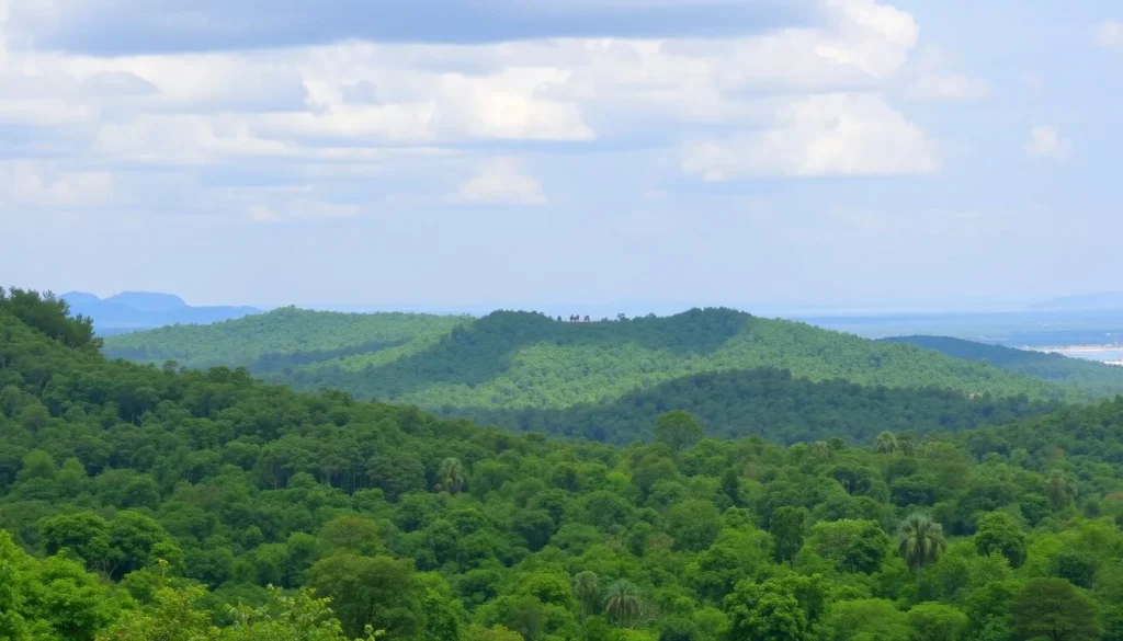 Day Forest National Park in Djibouti with lush green forests and diverse wildlife