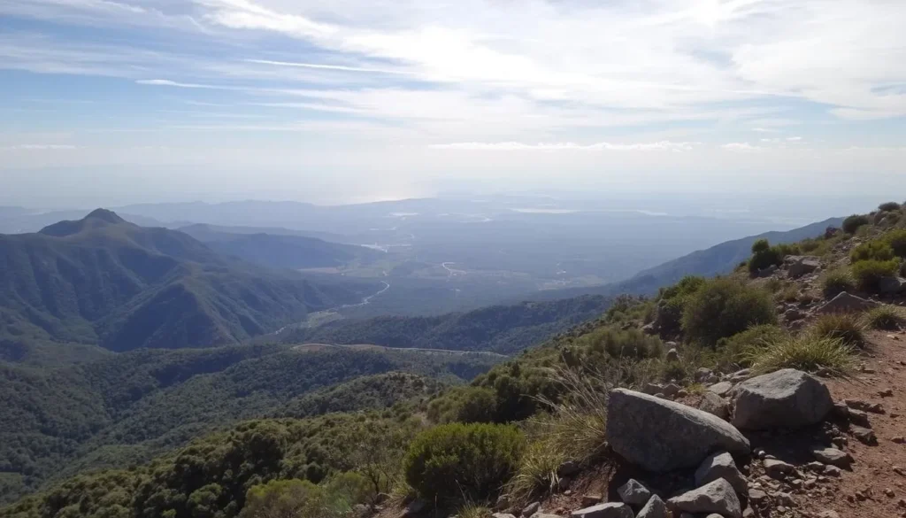 Explore the scenic beauty around Cerro Noroeste