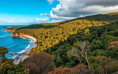 Awabakal Nature Reserve, New South Wales: Best Things to Do – Top Picks
