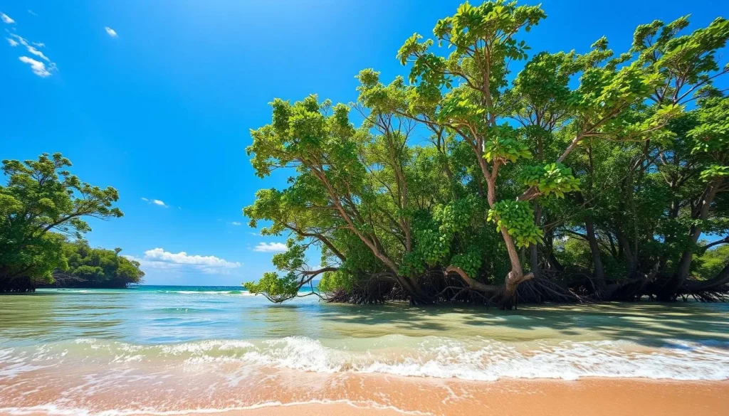 Generate an image of Ream National Park's lush mangrove forests and pristine beaches.