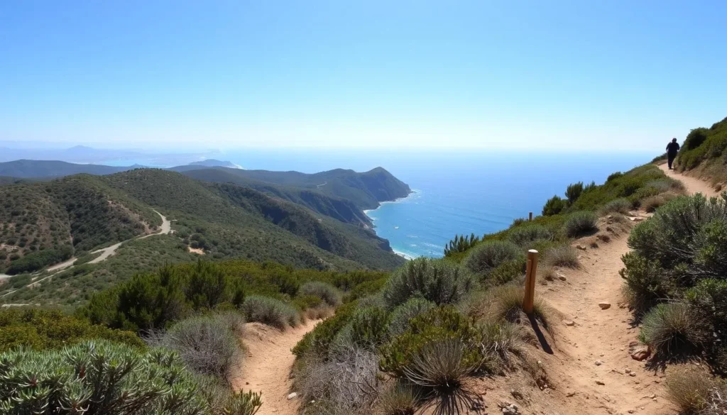 Hiking trail in Orange County California with ocean views, highlighting one of the best outdoor things to do in the area Hiking trail in Orange County California with ocean views, highlighting one of the best outdoor things to do in the area
