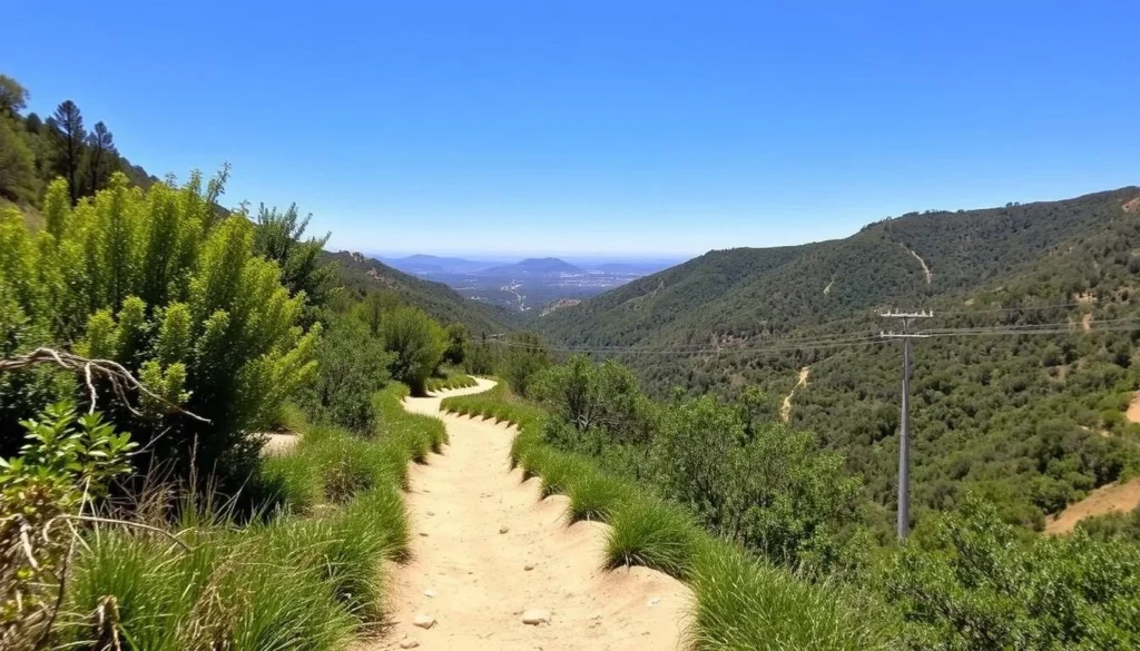 Image of Claremont Canyon Regional Preserve hiking trail