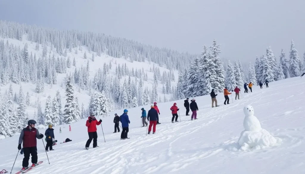 Image of Custer-Gallatin National Forest covered in snow with people engaging in various winter activities
