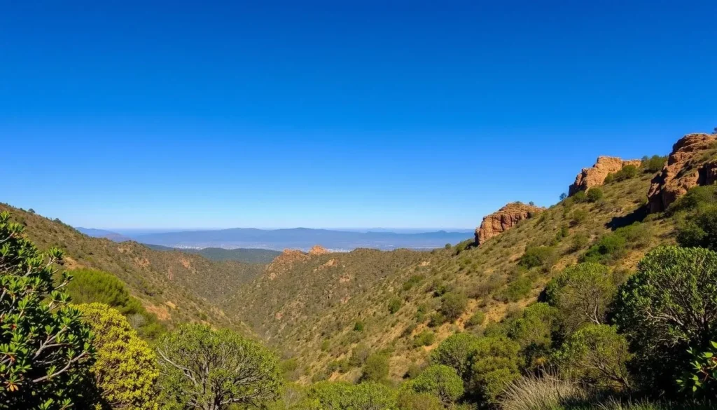 Image of Rattlesnake Canyon Trail Santa Barbara