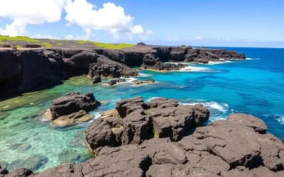 Shark’s Cove, Oahu, Hawaii: Visitor Information