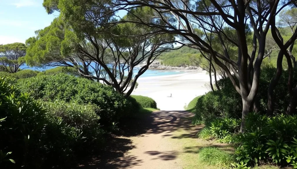 Image of Smalleys Beach Camping Area with a private pathway to the beach