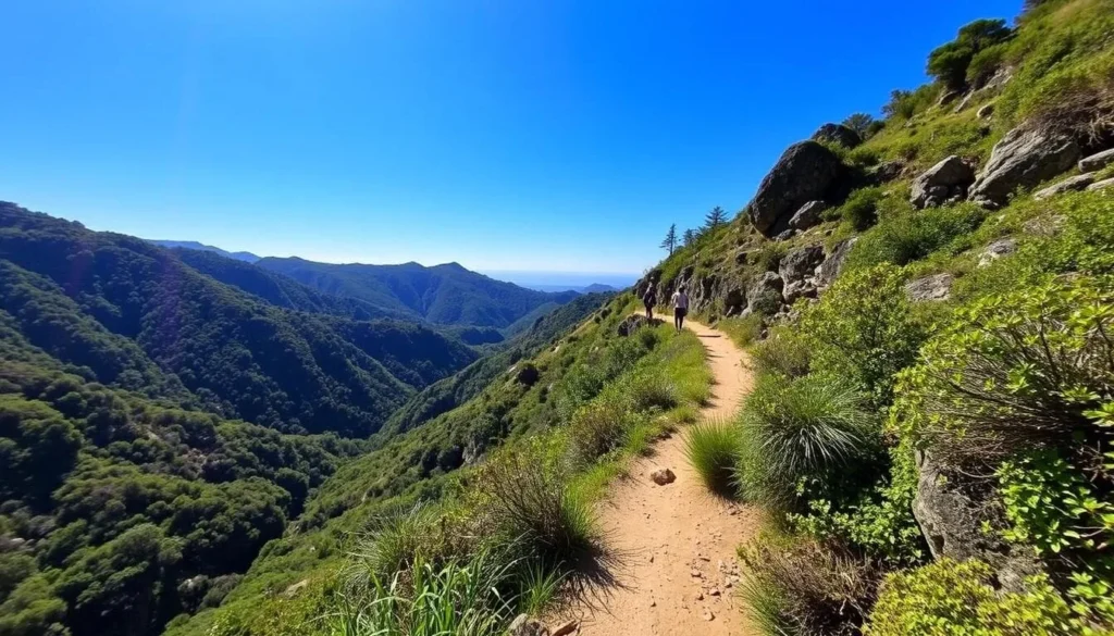 Image of Soberanes Canyon trail