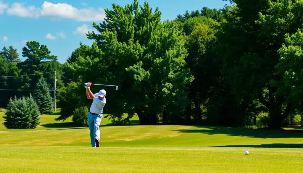 Image of a golfer on a DeSoto County golf course