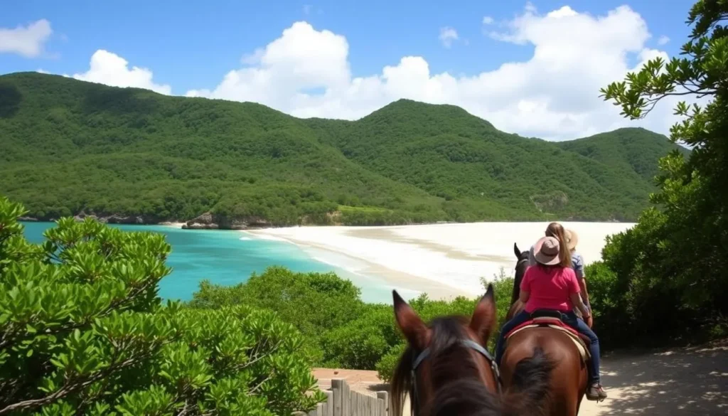 Image of horseback riding on Myall Beach, Cape Tribulation