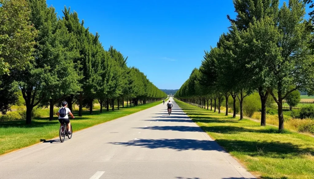 Iron Horse Regional Trail in Contra Costa County with cyclists and pedestrians enjoying the paved path on a sunny day Iron Horse Regional Trail in Contra Costa County with cyclists and pedestrians enjoying the paved path on a sunny day