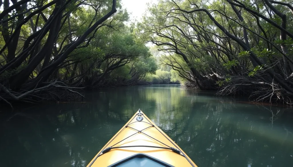 Kayaker exploring the mangrove tunnels at Werner-Boyce Salt Springs State Park Kayaker exploring the mangrove tunnels at Werner-Boyce Salt Springs State Park
