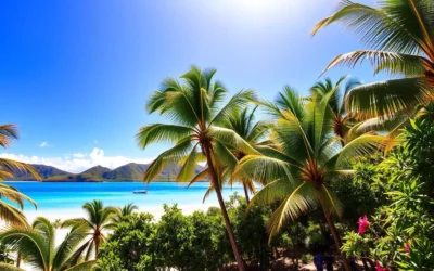 Palau: Best Months for a Weather-Savvy Trip