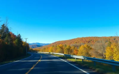 Allegheny National Forest, Pennsylvania: Best Things to Do – Top Picks