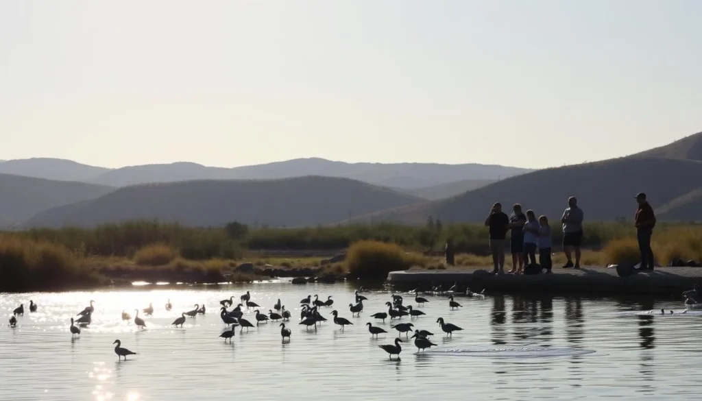 Serene wildlife viewing at the tranquil California Aqueduct Lakes. A wide, sweeping shot capturing the scenic backdrop of rolling hills and lush vegetation. In the foreground, a group of visitors observing a variety of birds and other wildlife inhabiting the calm, glimmering waters. Soft, natural lighting illuminates the peaceful scene, inviting the viewer to immerse themselves in this oasis of nature. The composition emphasizes the harmony between the human presence and the thriving ecosystem, showcasing the diverse land-based activities available at this captivating location.