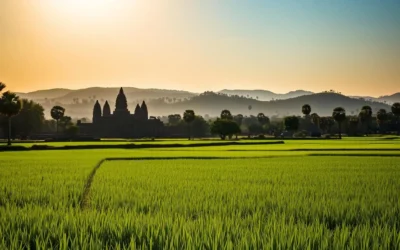 Siem Reap, Cambodia: Best Months for a Weather-Savvy Trip