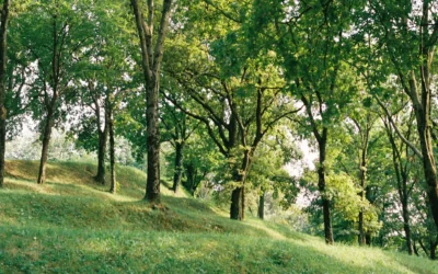 Mount Vernon, New York: Best Things to Do – Top Picks