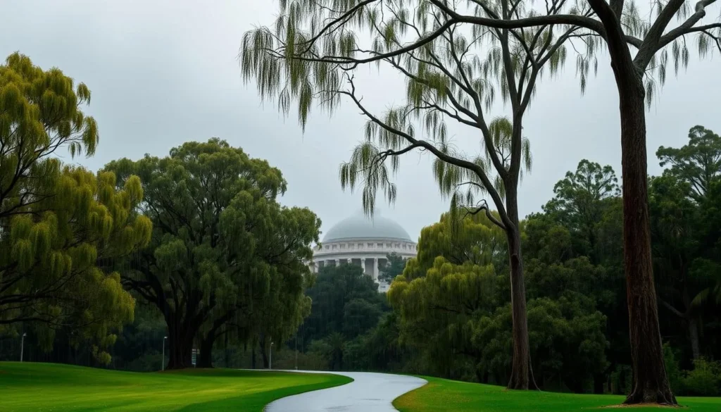 A lush, verdant landscape in Canberra, the Australian capital, under a gentle downpour. Tall eucalyptus trees sway gracefully, their leaves glistening with crystalline droplets. In the foreground, a winding path meanders through the scene, inviting the viewer to experience the tranquil ambiance. The background features the iconic Parliament House, its grand architecture partially obscured by the hazy, rain-filled atmosphere. Soft, diffused lighting casts a serene, almost dreamlike quality over the entire composition. The overall mood conveys the comforting presence of rainfall, evoking a sense of renewal and a respite from the city's hustle and bustle.