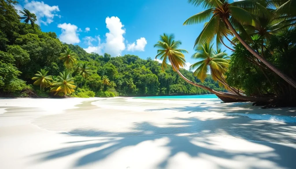 A sun-dappled beach in Daintree National Park, Queensland, Australia. Pristine white sand stretches out, framed by lush, verdant rainforest on one side and the crystalline turquoise waters of the Coral Sea on the other. Gentle waves lap at the shore, creating a soothing, rhythmic soundtrack. Tall, stately palm trees sway in the warm, tropical breeze, casting dappled shadows across the sand. The scene is bathed in a soft, golden light, evoking a sense of tranquility and natural beauty. Capture the essence of this picturesque, unspoiled paradise.