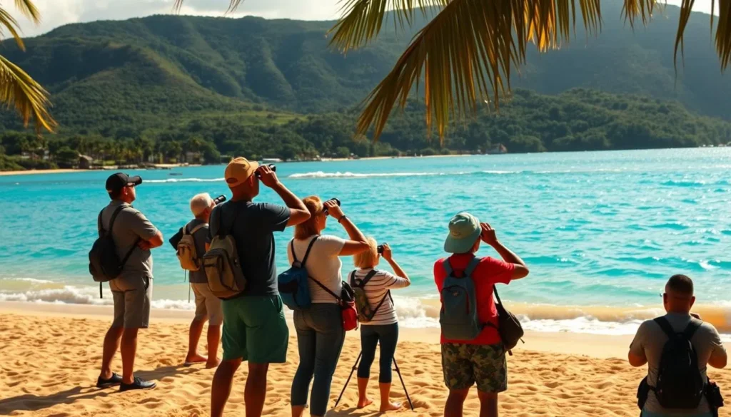 A tranquil scene at Grande Anse Beach, Martinique, where bird watchers observe a variety of coastal avifauna. In the foreground, a group of birders, binoculars in hand, stand on the golden sand, their attention fixed on the sky above. In the middle ground, the crystalline waters of the Caribbean lap gently against the shore, their turquoise hues reflecting the bright, natural light. In the background, lush, verdant hills and palm trees frame the picturesque landscape, creating a serene and picturesque atmosphere. The scene is bathed in warm, golden sunlight, casting a soft, dreamy glow over the entire tableau. A tranquil scene at Grande Anse Beach, Martinique, where bird watchers observe a variety of coastal avifauna. In the foreground, a group of birders, binoculars in hand, stand on the golden sand, their attention fixed on the sky above. In the middle ground, the crystalline waters of the Caribbean lap gently against the shore, their turquoise hues reflecting the bright, natural light. In the background, lush, verdant hills and palm trees frame the picturesque landscape, creating a serene and picturesque atmosphere. The scene is bathed in warm, golden sunlight, casting a soft, dreamy glow over the entire tableau.