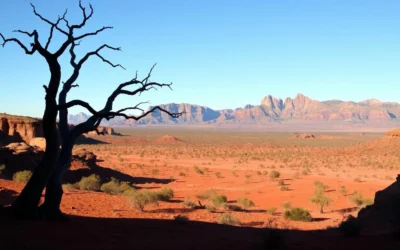 Alice Springs, Northern Territory: Best Things to Do – Top Picks