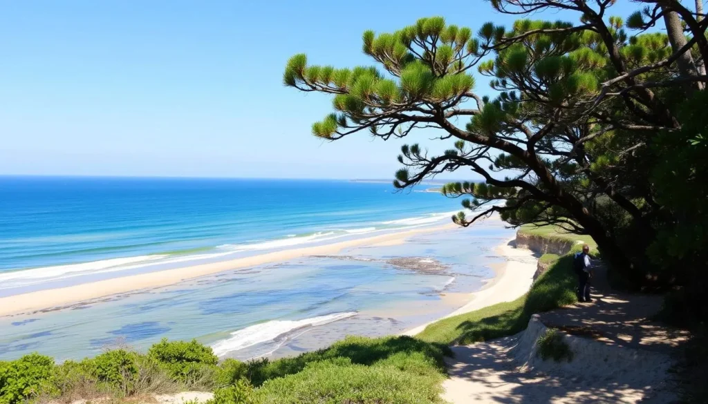 An image of Cape Henlopen State Park's scenic hiking trails and beautiful beaches.