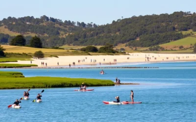 Batemans Bay, New South Wales: Best Things to Do – Top Picks